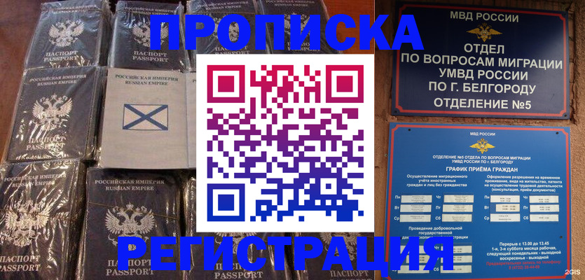 прописка гарантия в Купино